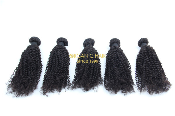 Afro kinky curly virgin brazilian remy hair extensions 